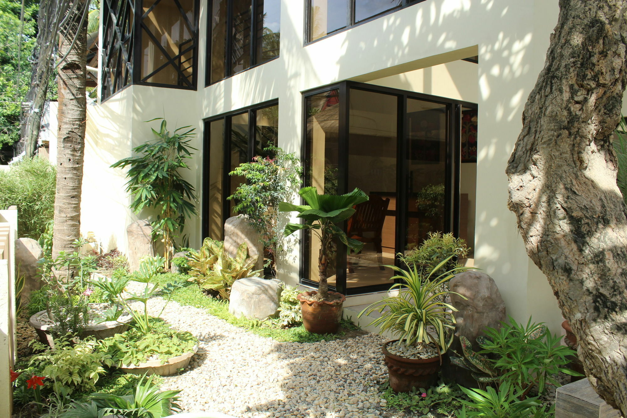 Anahaw Studio Suites Manoc-Manoc Exterior foto